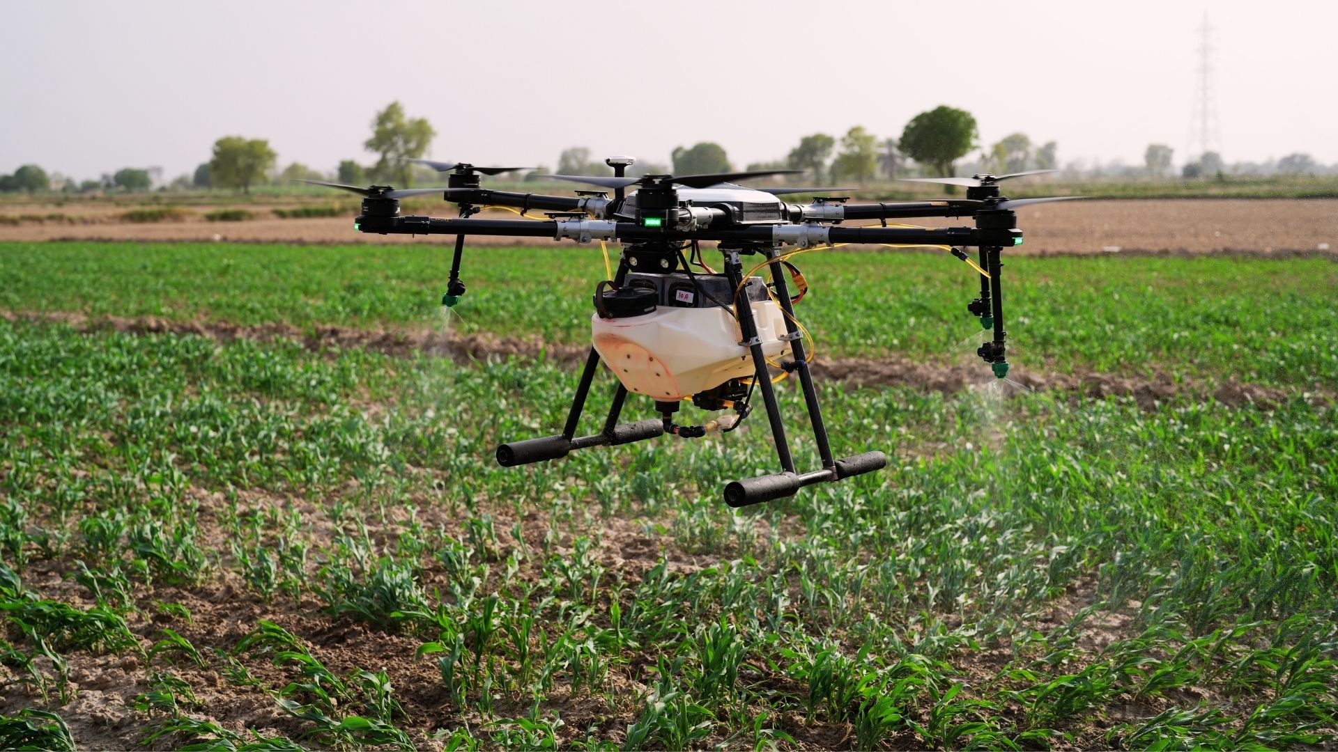 Government Subsidies That Make Spray Drones Affordable