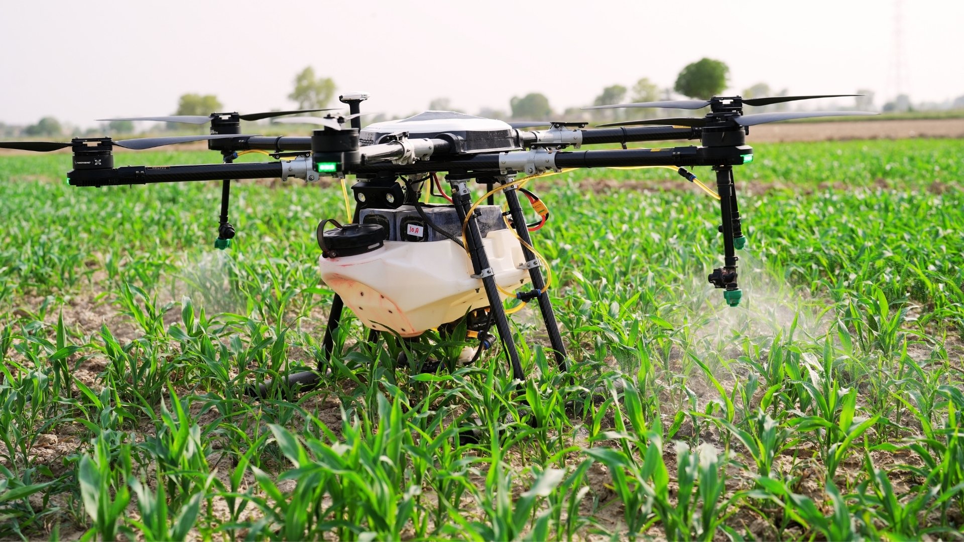 Top 3 Types of Seed Spreading Drones for Every Farm
