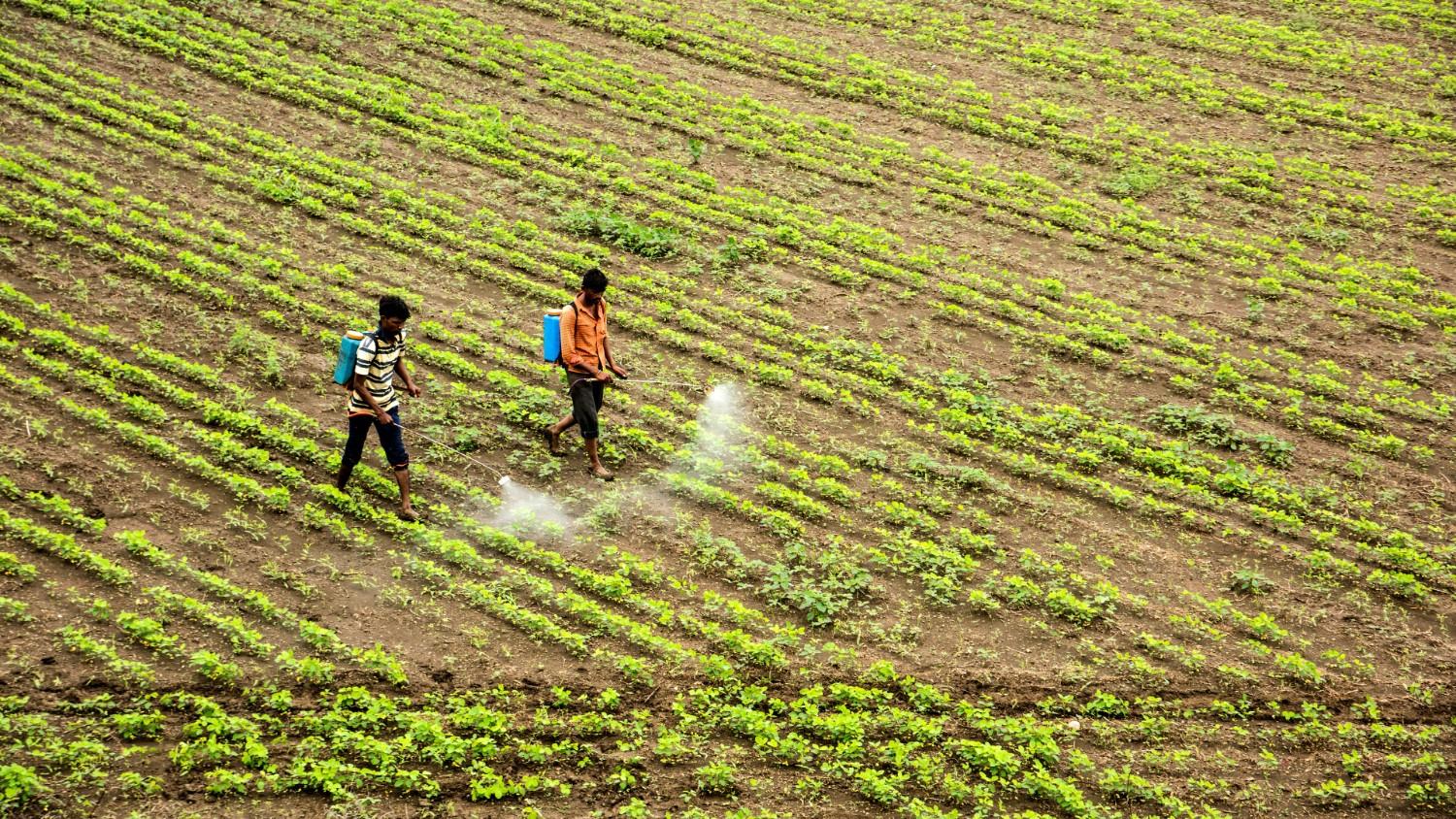 What are the Key Spraying Metrics in Agriculture?